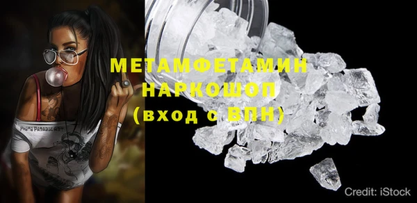 шишки Заволжск