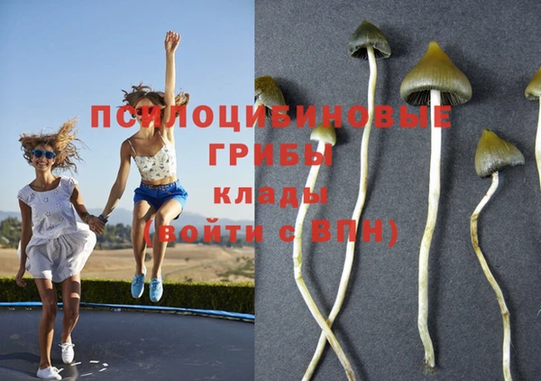 герыч Заводоуковск