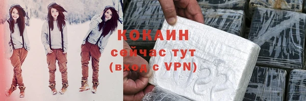 шишки Заволжск