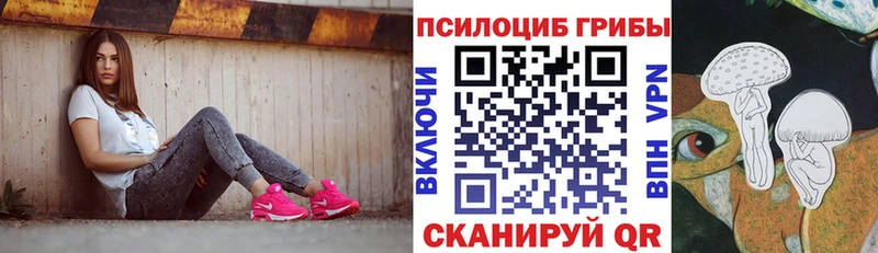 Купить где  Удачный  Псилоцибиновые грибы MAGIC MUSHROOMS 